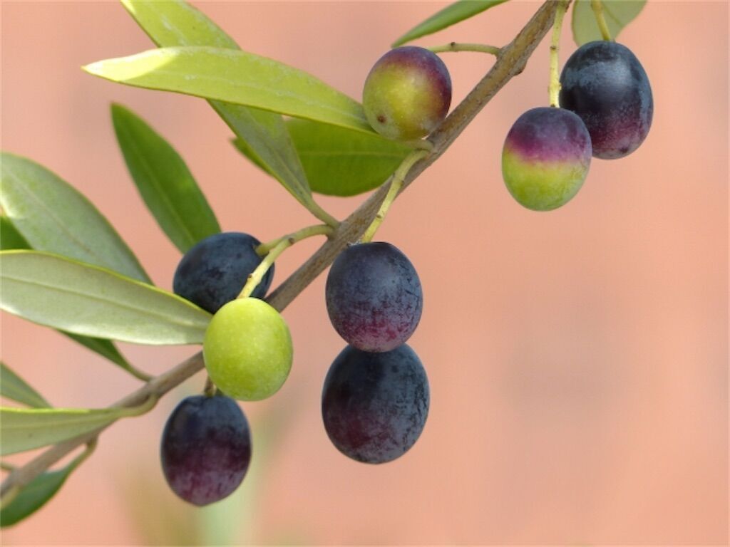 f:id:matundaba79:20240804203849j:image