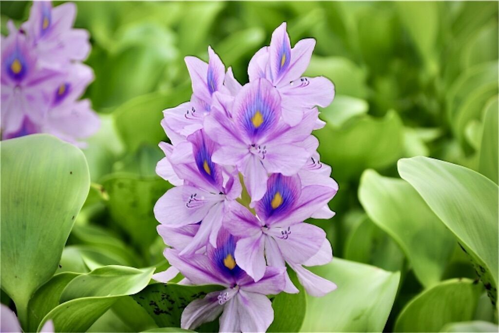 f:id:matundaba79:20240815005535j:image