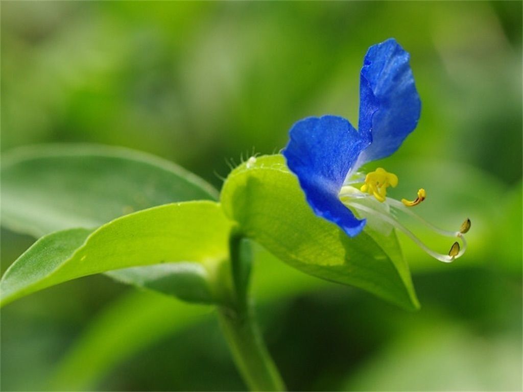 f:id:matundaba79:20240907220328j:image