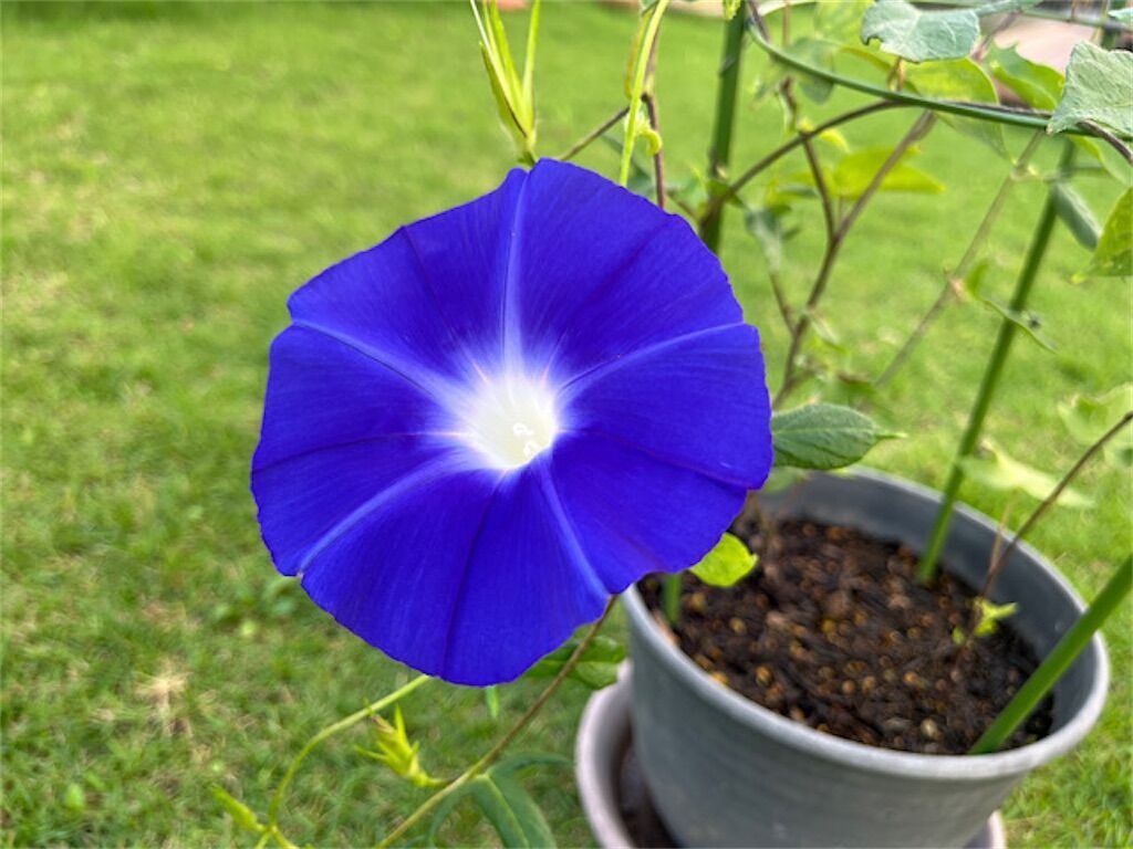 f:id:matundaba79:20240911223909j:image