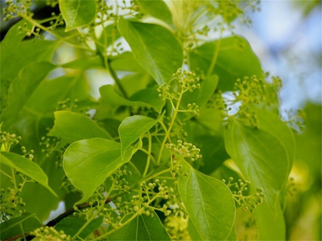 f:id:matundaba79:20240916215528j:image f:id:matundaba79:20240916215528j:image
