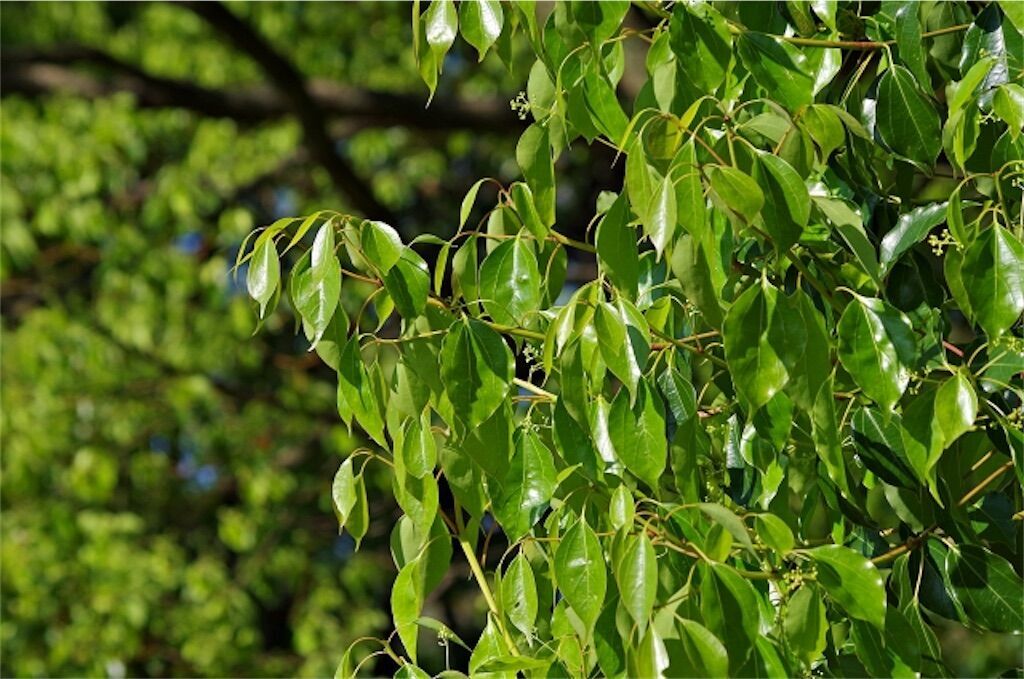 f:id:matundaba79:20240916215540j:image f:id:matundaba79:20240916215540j:image