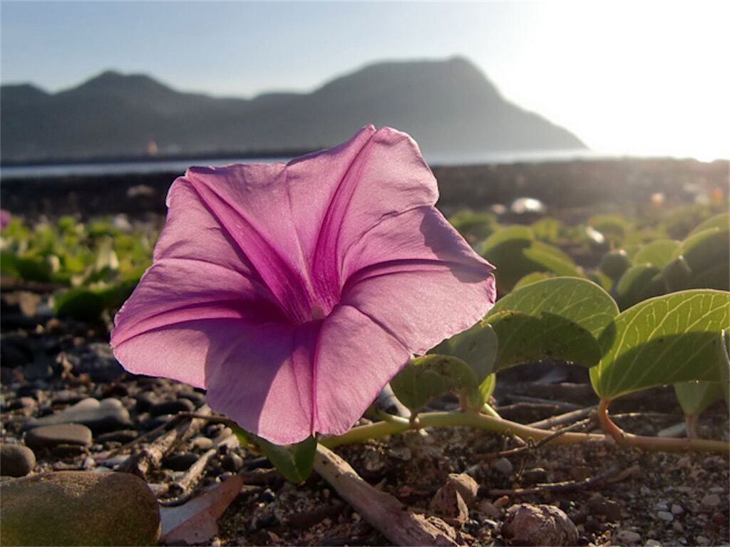 f:id:matundaba79:20240922005044j:image