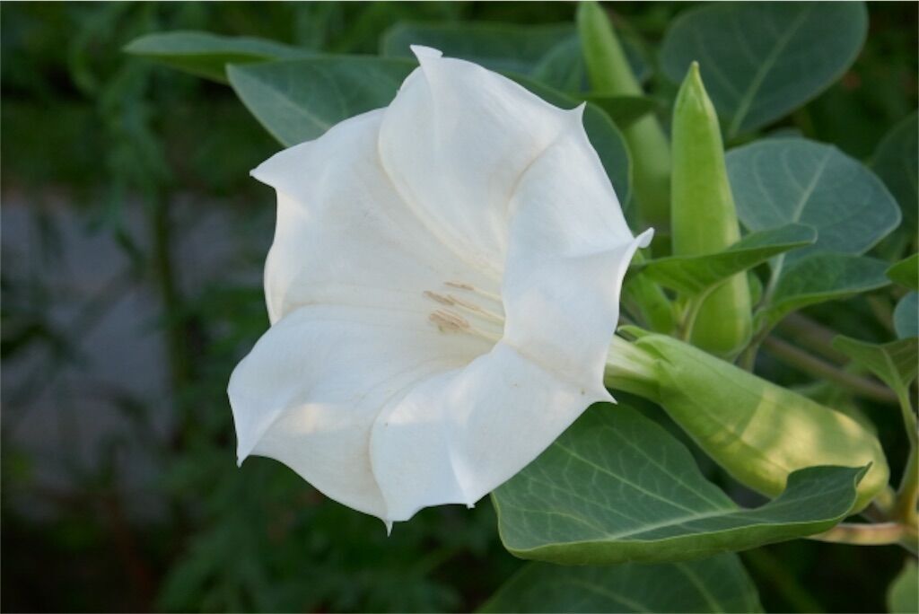 f:id:matundaba79:20240925211700j:image f:id:matundaba79:20240925211700j:image