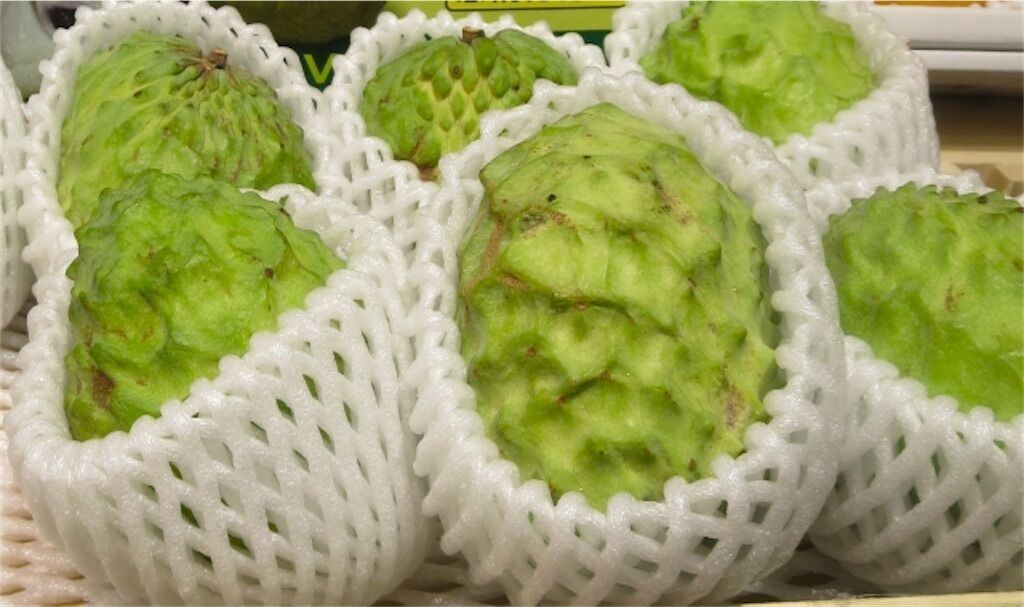 アテモヤ（ジェフナー）樹齢10年森のアイスクリーム