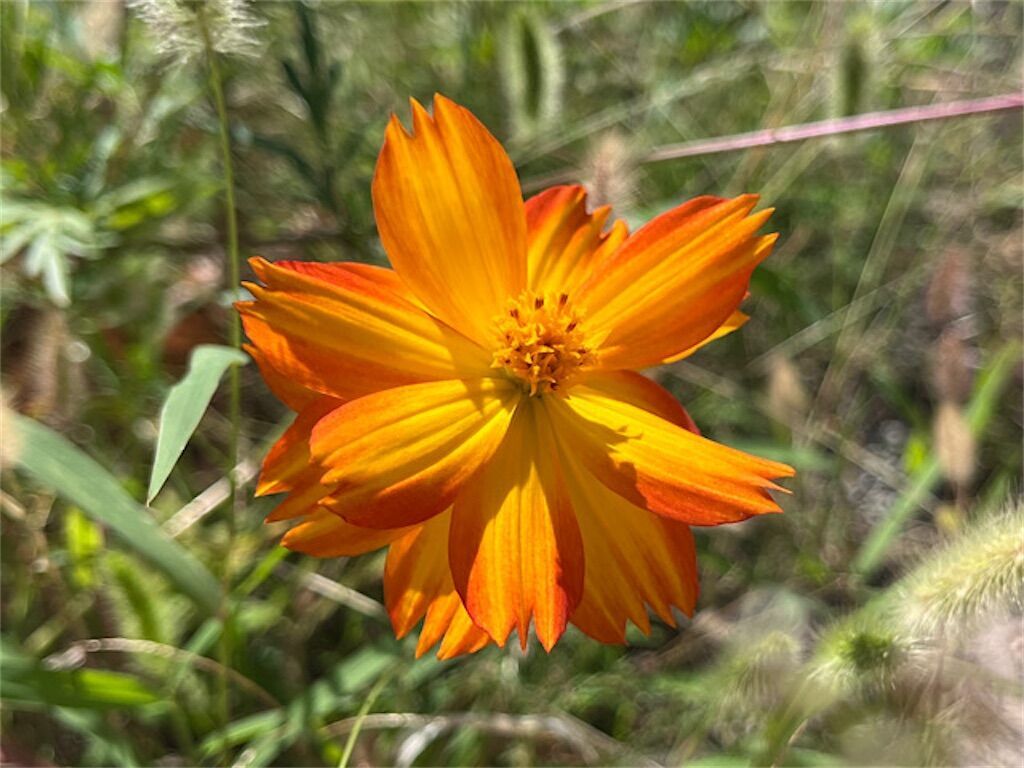 f:id:matundaba79:20241003214543j:image