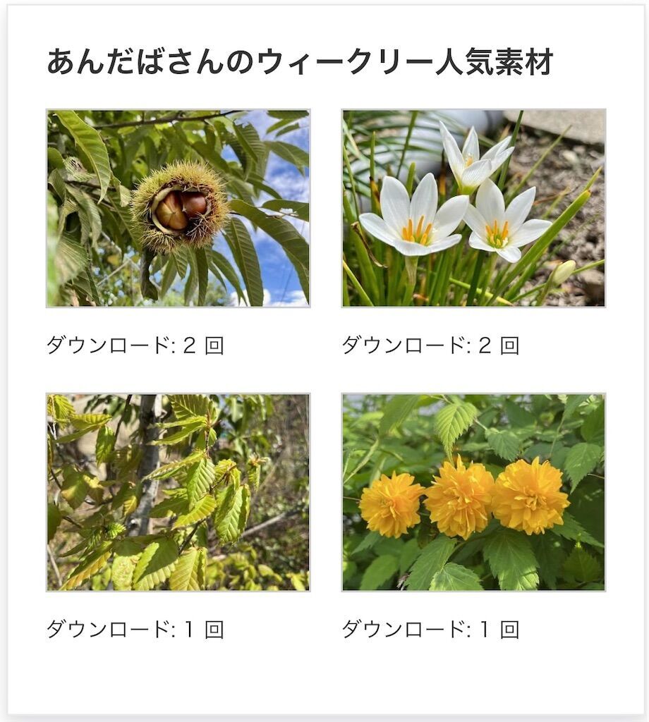 f:id:matundaba79:20241003215158j:image