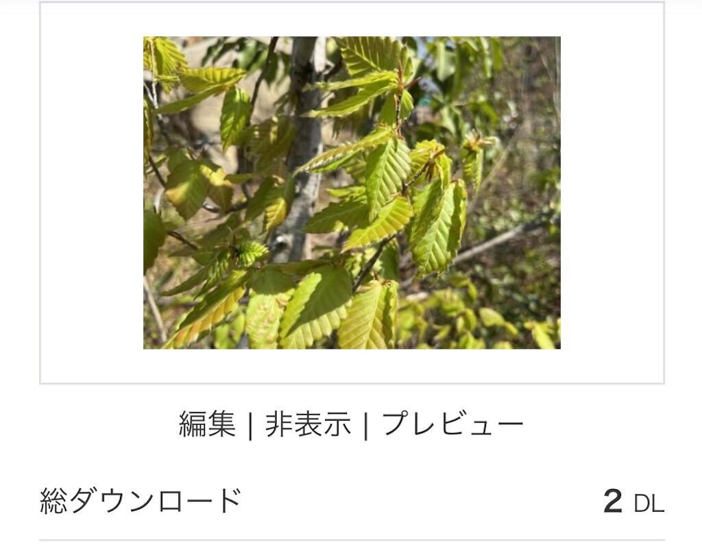 f:id:matundaba79:20241003215234j:image