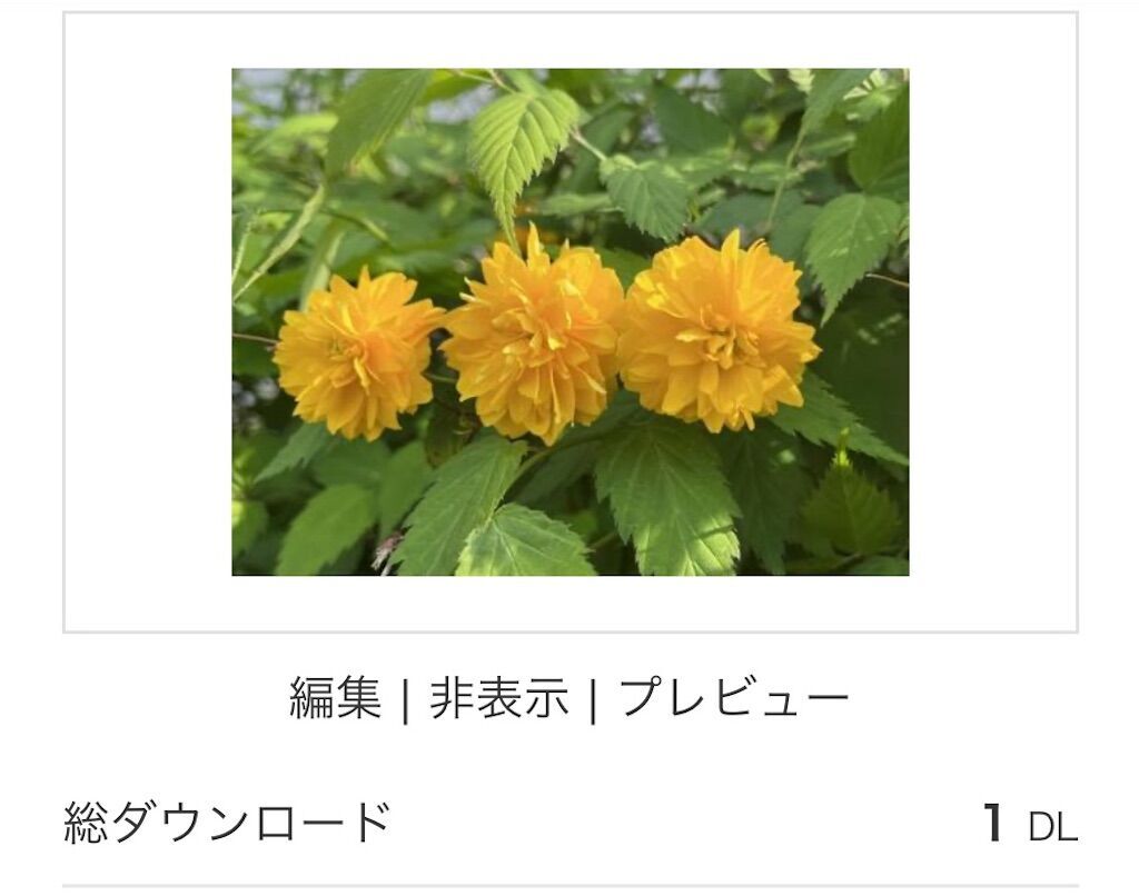 f:id:matundaba79:20241003215247j:image