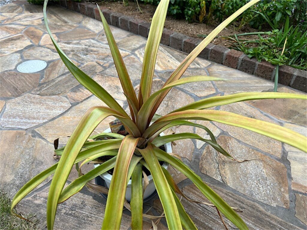 f:id:matundaba79:20241008090337j:image