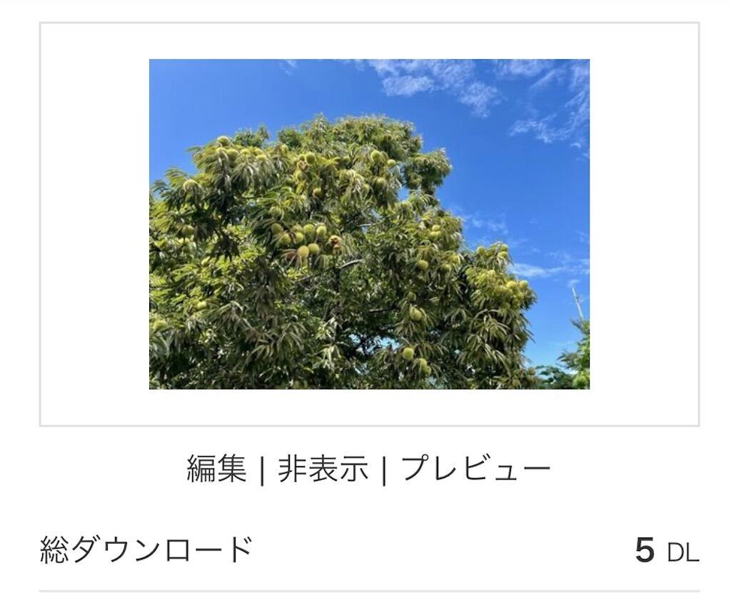 f:id:matundaba79:20241102223016j:image