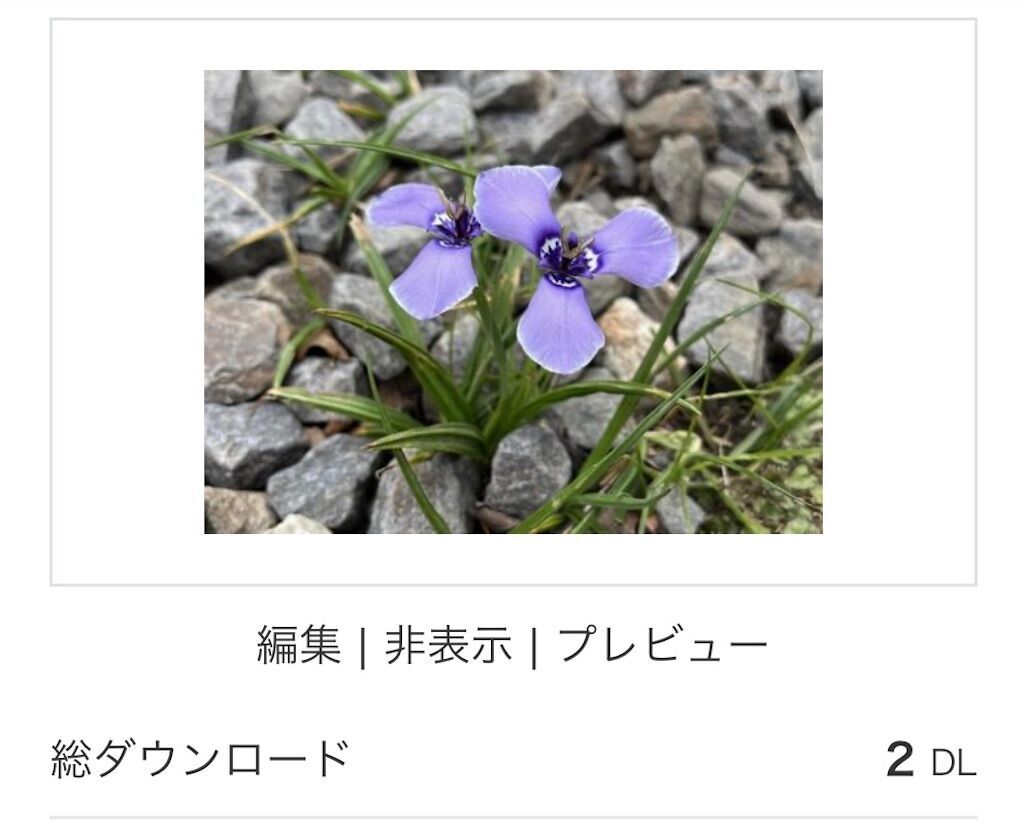 f:id:matundaba79:20241102223032j:image