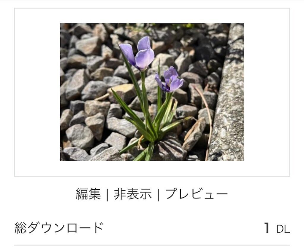 f:id:matundaba79:20241102223035j:image