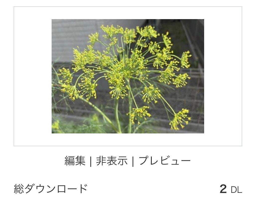 f:id:matundaba79:20241102223047j:image