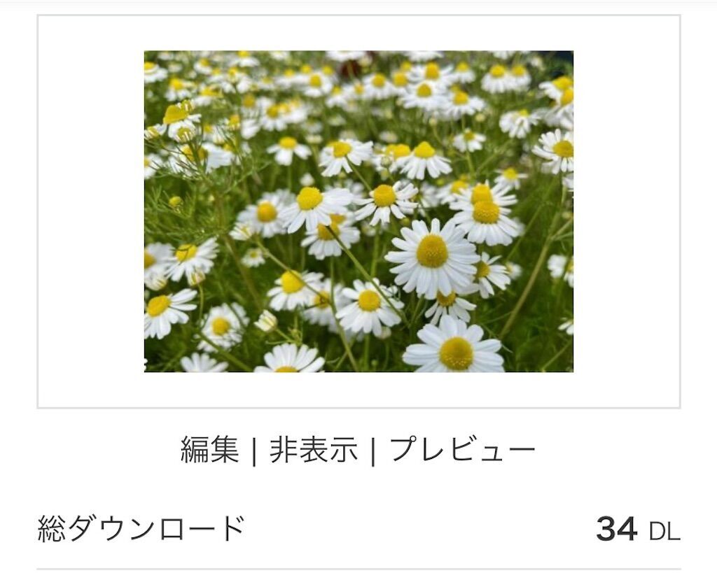 f:id:matundaba79:20241102223109j:image