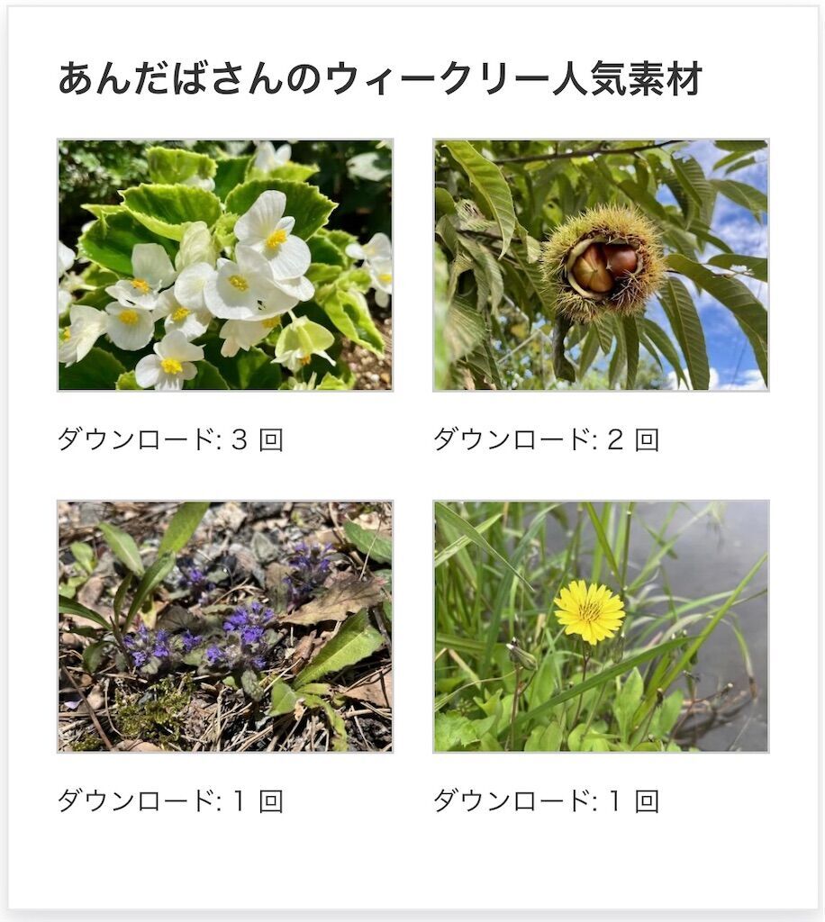 f:id:matundaba79:20241203220102j:image