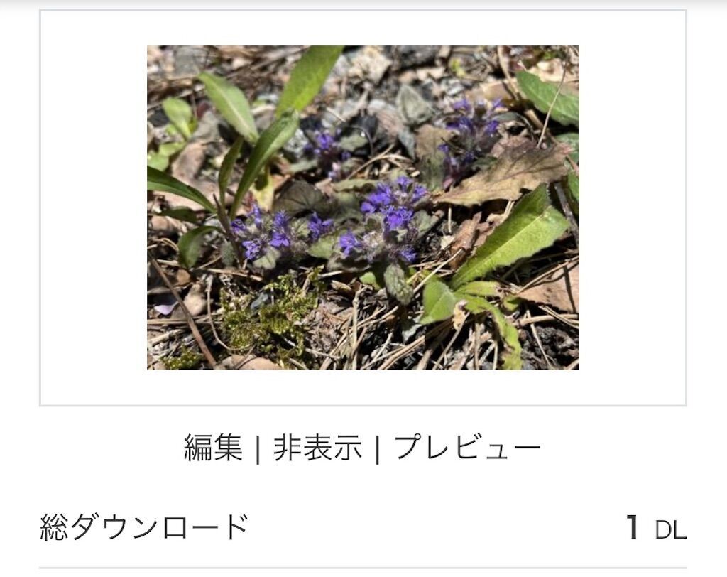 f:id:matundaba79:20241203220215j:image