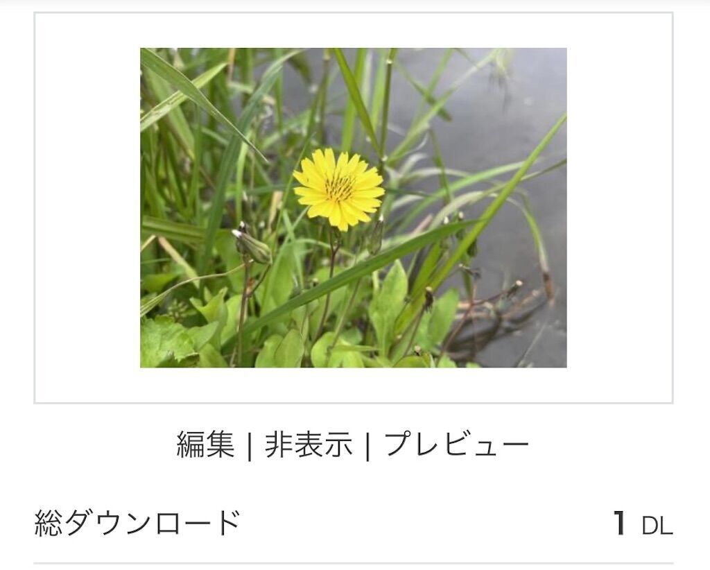 f:id:matundaba79:20241203220228j:image