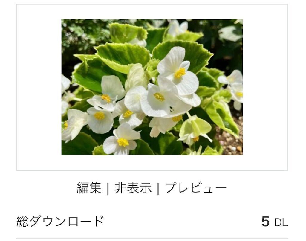 f:id:matundaba79:20241203222350j:image
