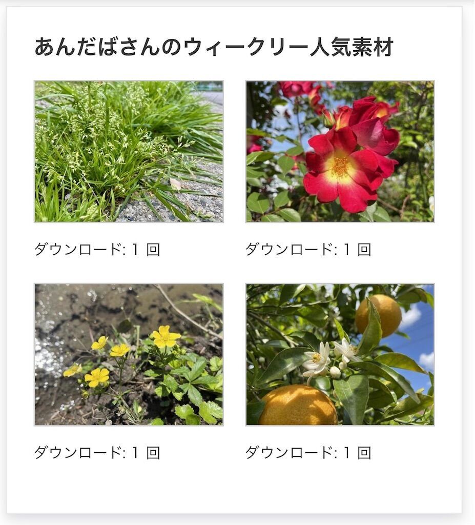 f:id:matundaba79:20250107091231j:image