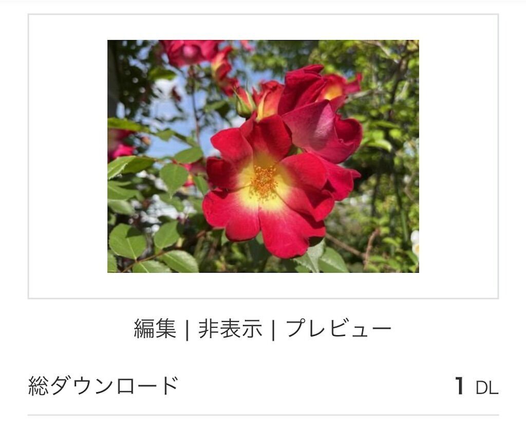f:id:matundaba79:20250107091301j:image
