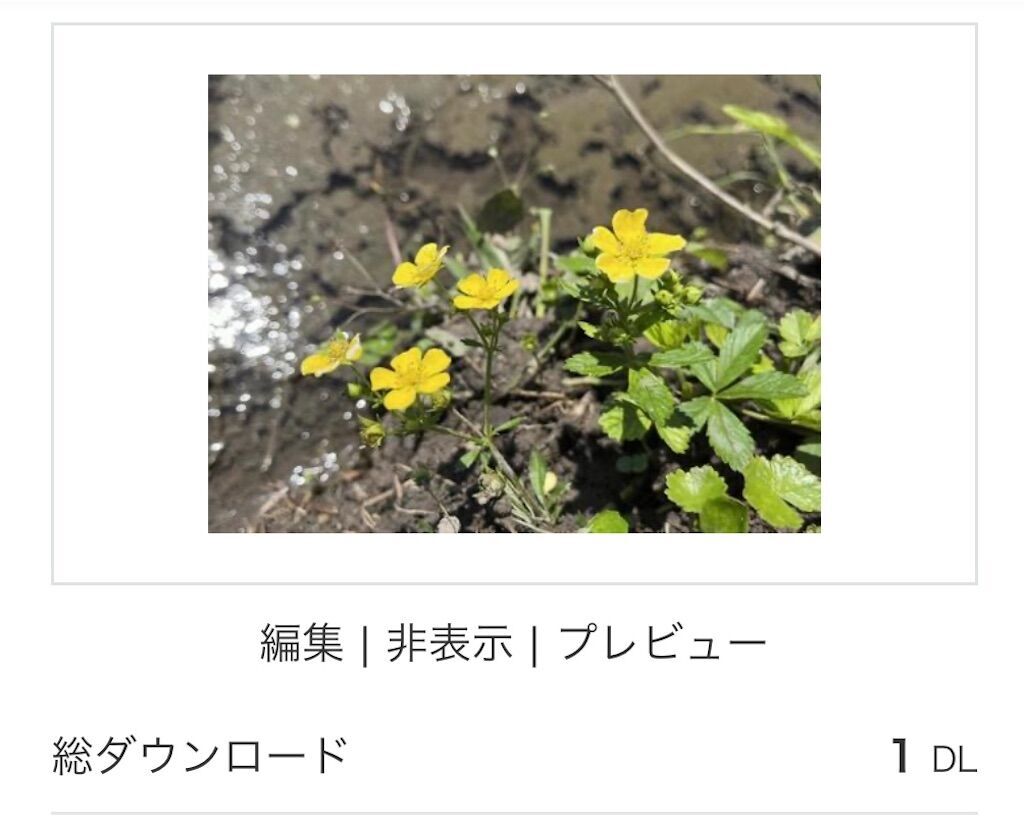 f:id:matundaba79:20250107091324j:image