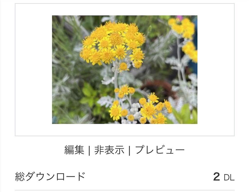 f:id:matundaba79:20250206085903j:image
