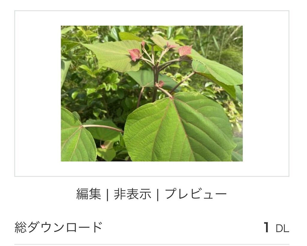 f:id:matundaba79:20250206085912j:image