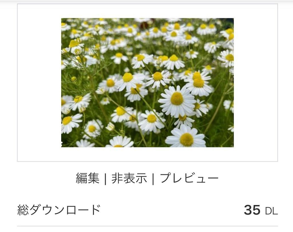f:id:matundaba79:20250206085946j:image