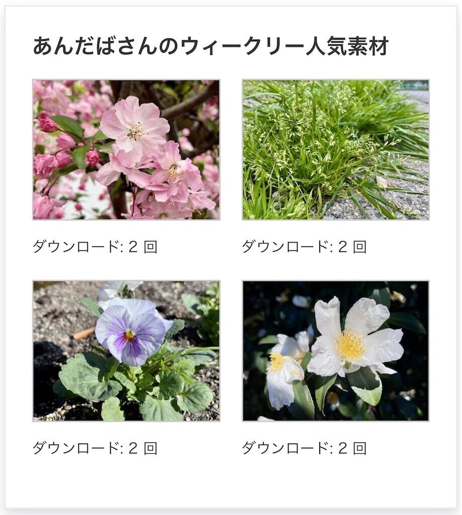 f:id:matundaba79:20250303085933j:image