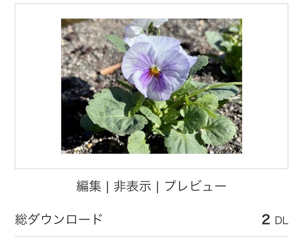 f:id:matundaba79:20250303090014j:image