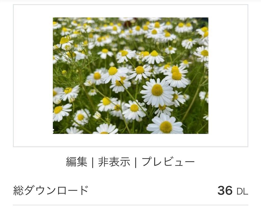 f:id:matundaba79:20250303090342j:image