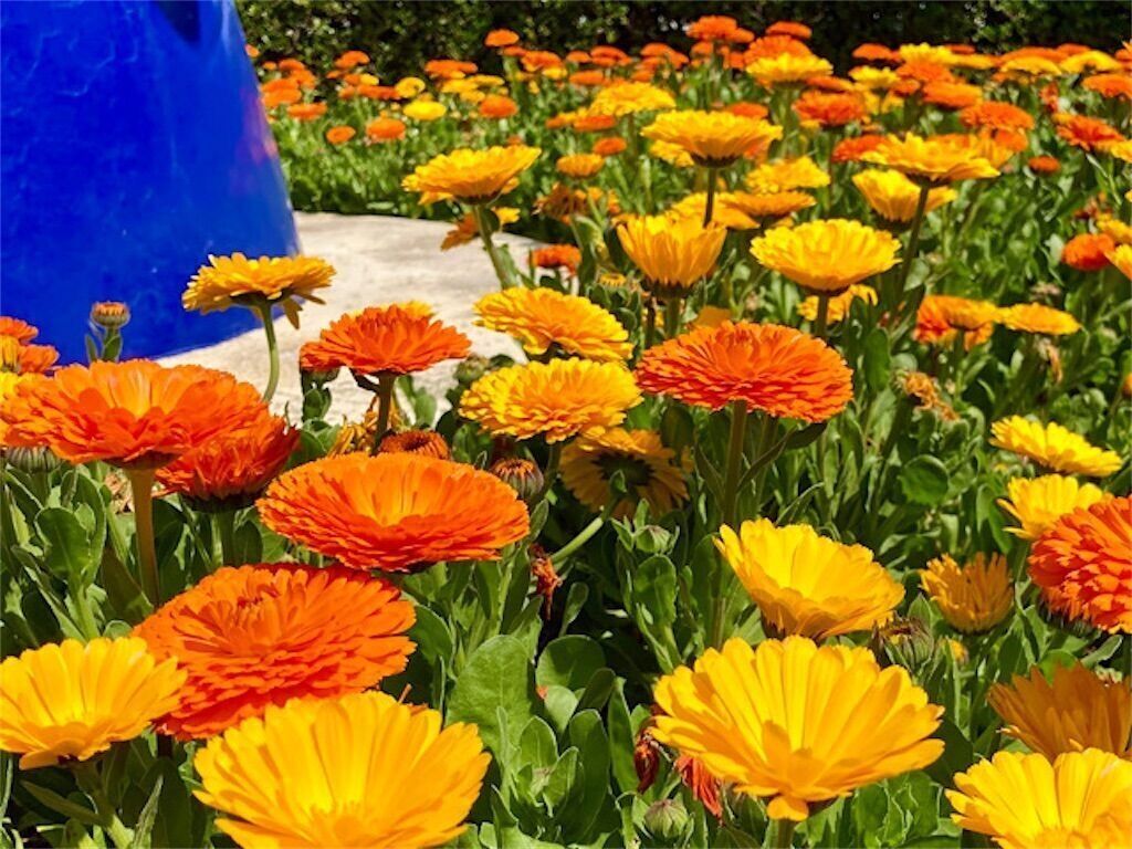 f:id:matundaba79:20250422205011j:image