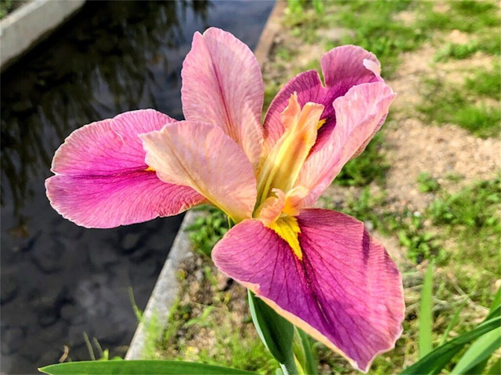 f:id:matundaba79:20250515091104j:image