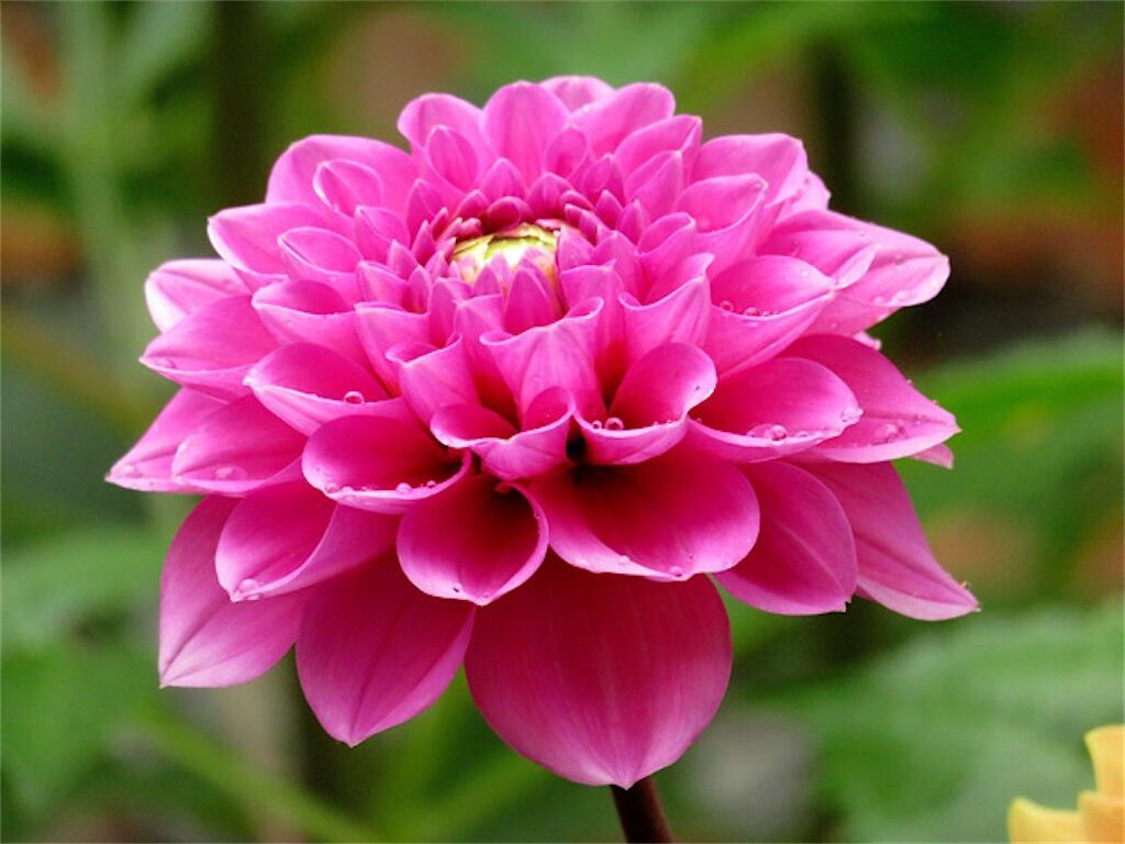 f:id:matundaba79:20250521090742j:image