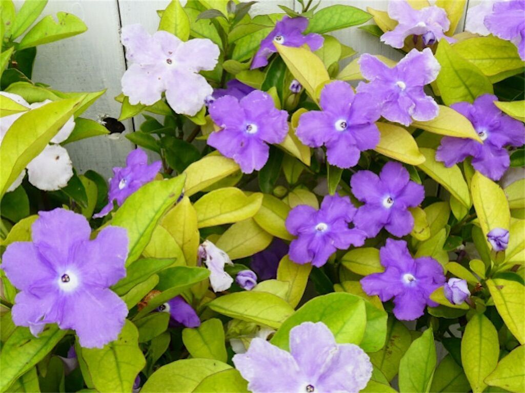 f:id:matundaba79:20250529085812j:image