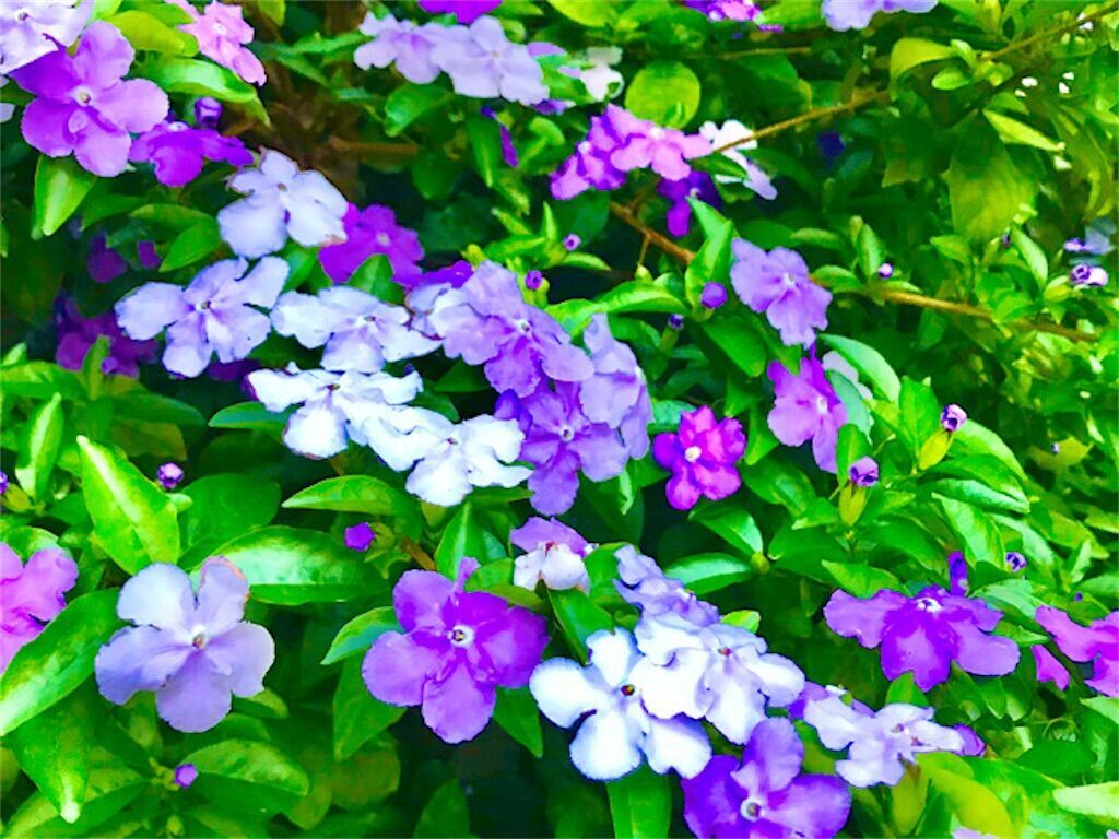f:id:matundaba79:20250529085825j:image