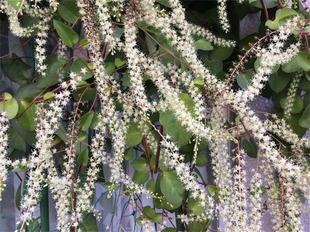 f:id:matundaba79:20250926092250j:image