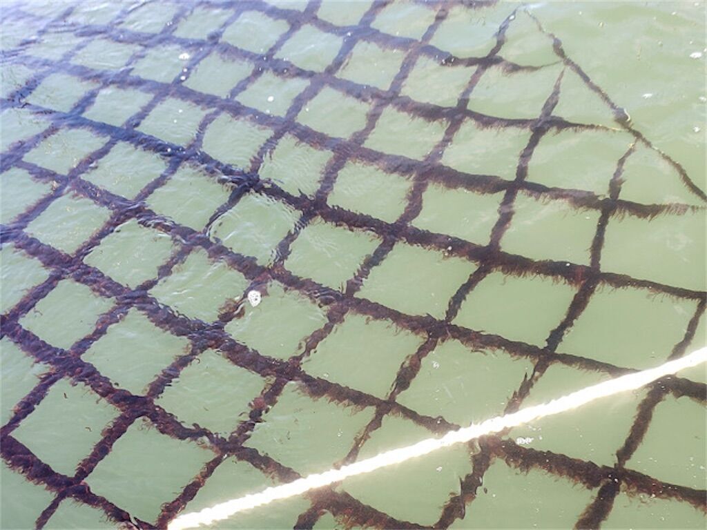 f:id:matundaba79:20251108222804j:image f:id:matundaba79:20251108222804j:image