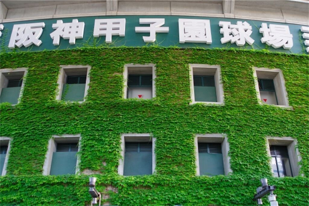 f:id:matundaba79:20251112113541j:image