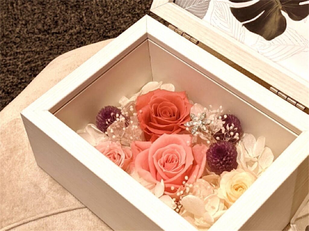 f:id:matundaba79:20260122184249j:image