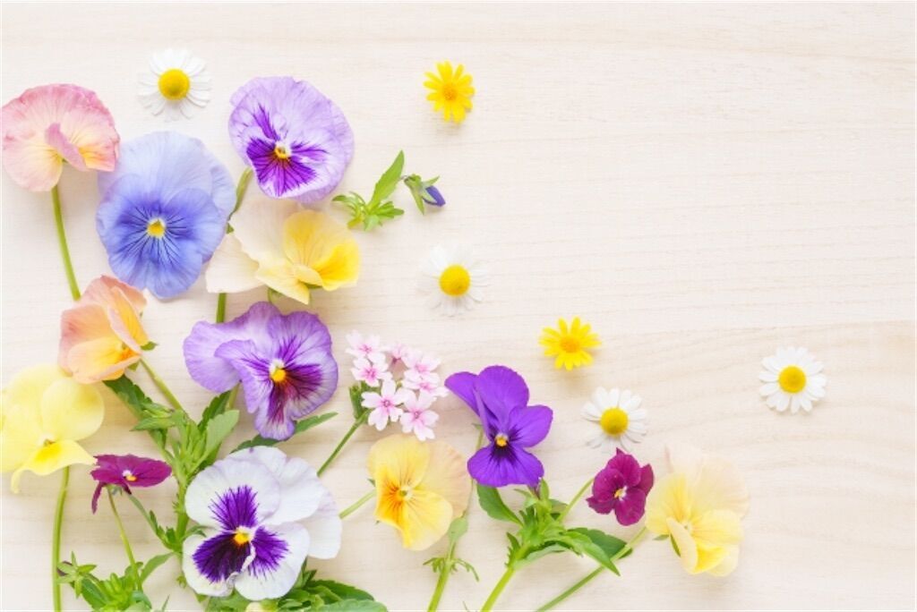 f:id:matundaba79:20260122184457j:image