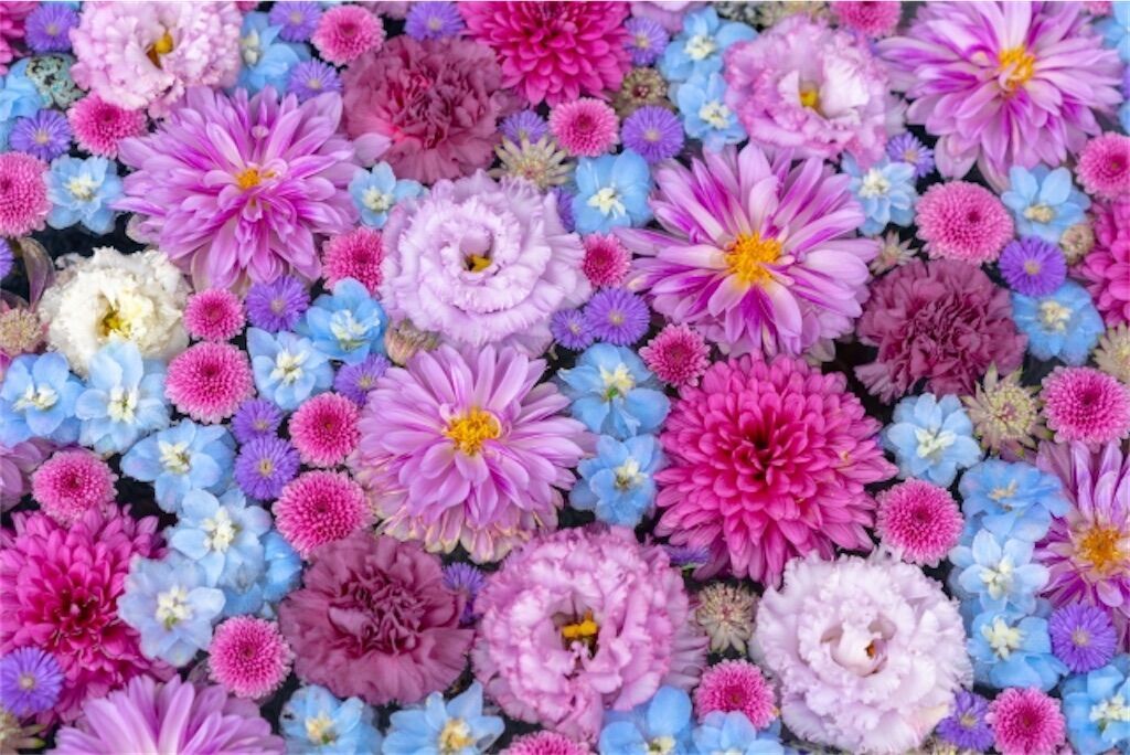 f:id:matundaba79:20260122184507j:image