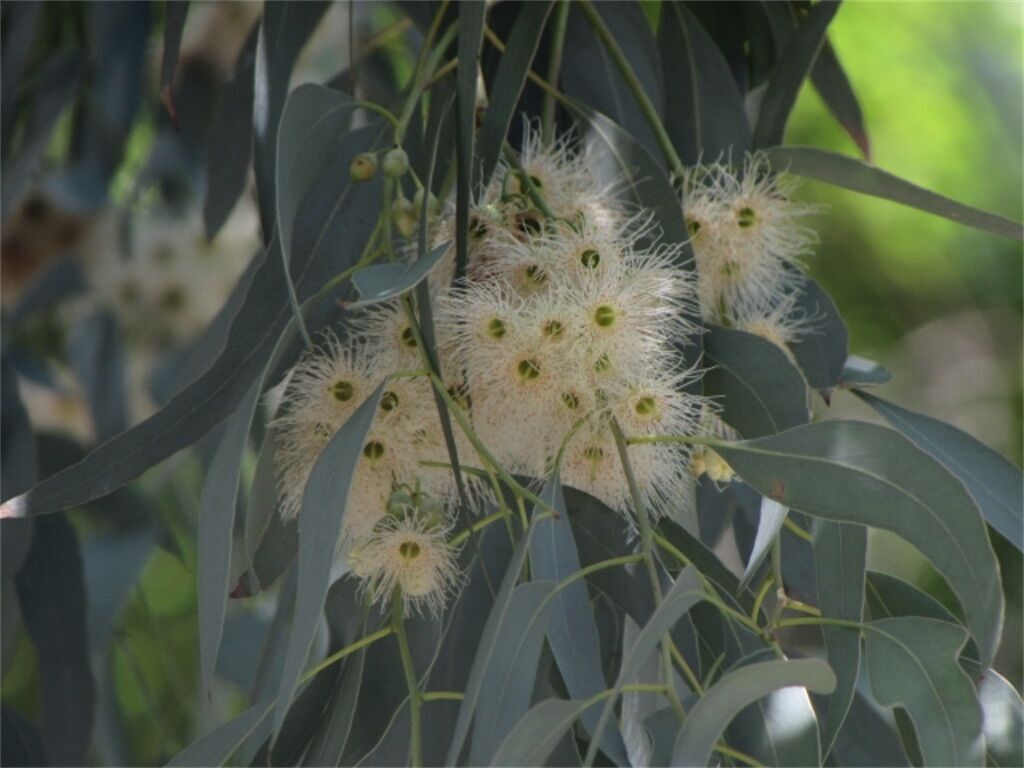 f:id:matundaba79:20260204200624j:image f:id:matundaba79:20260204200624j:image