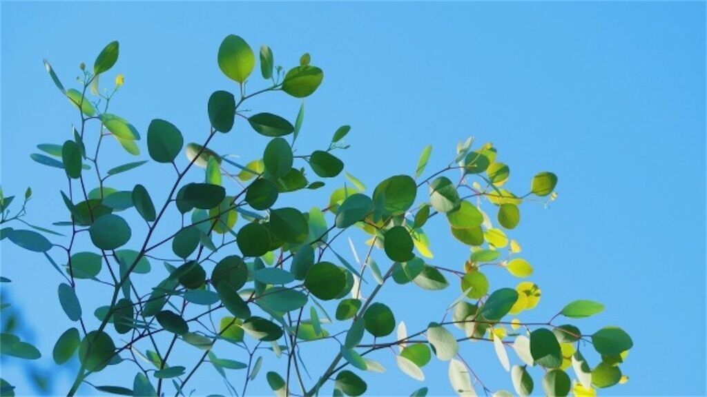 f:id:matundaba79:20260206085840j:image f:id:matundaba79:20260206085840j:image