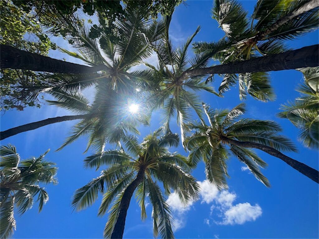 f:id:matundaba79:20260228223845j:image