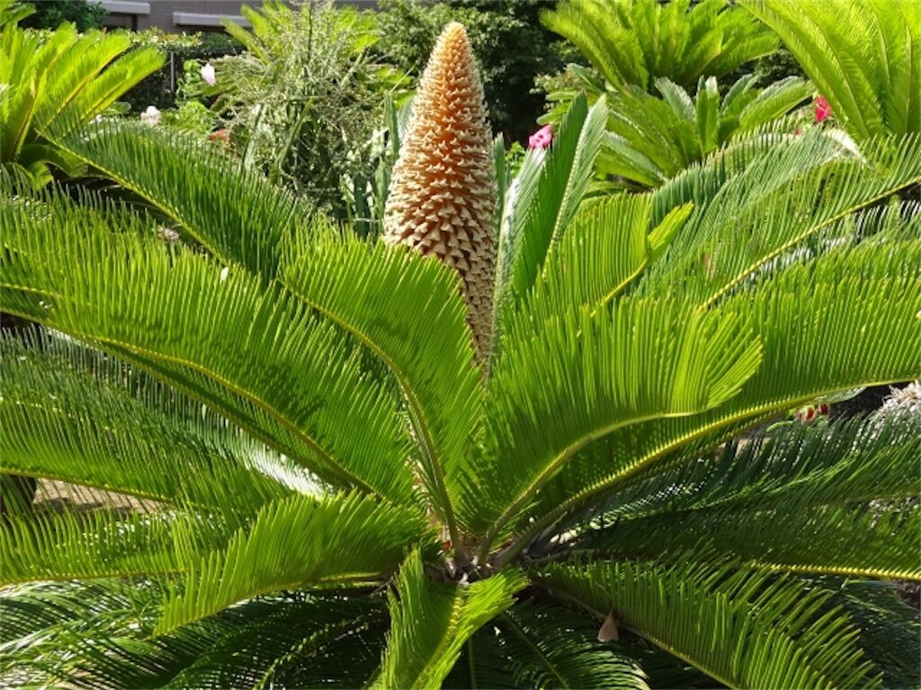 f:id:matundaba79:20260416130200j:image