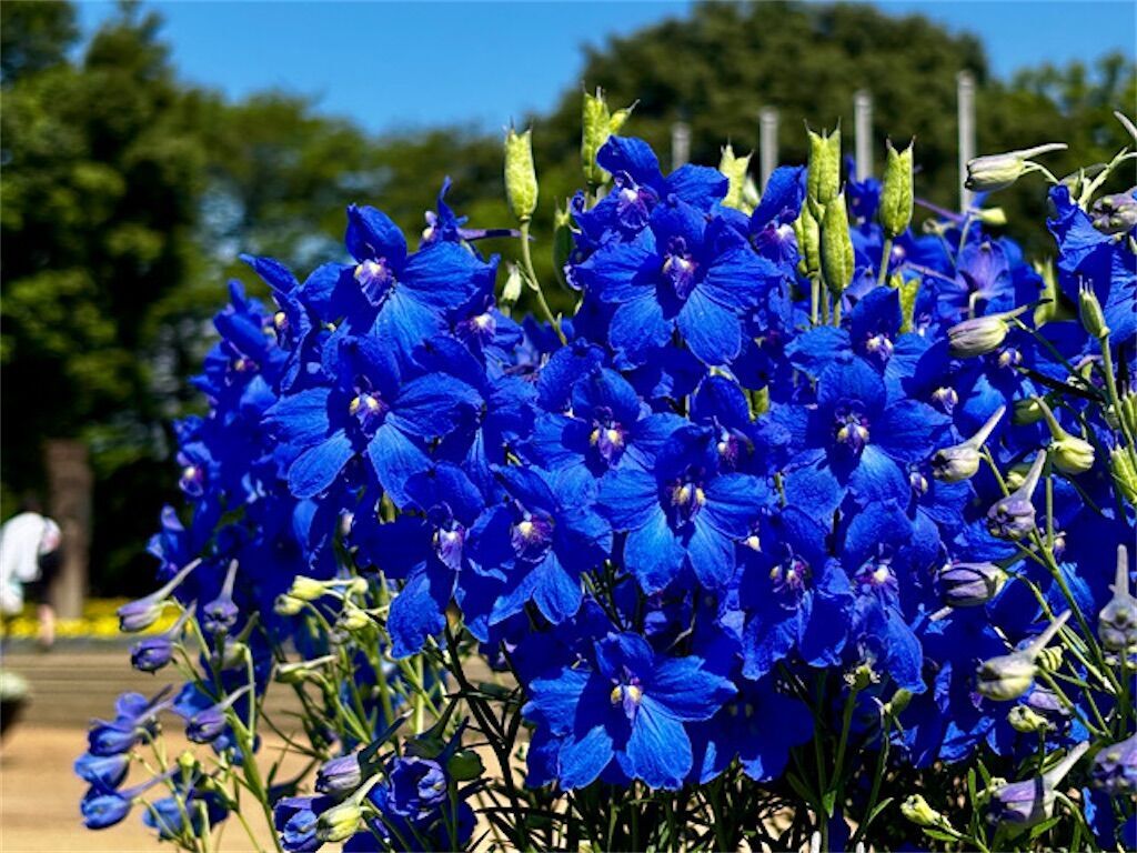 f:id:matundaba79:20260529194227j:image f:id:matundaba79:20260529194227j:image