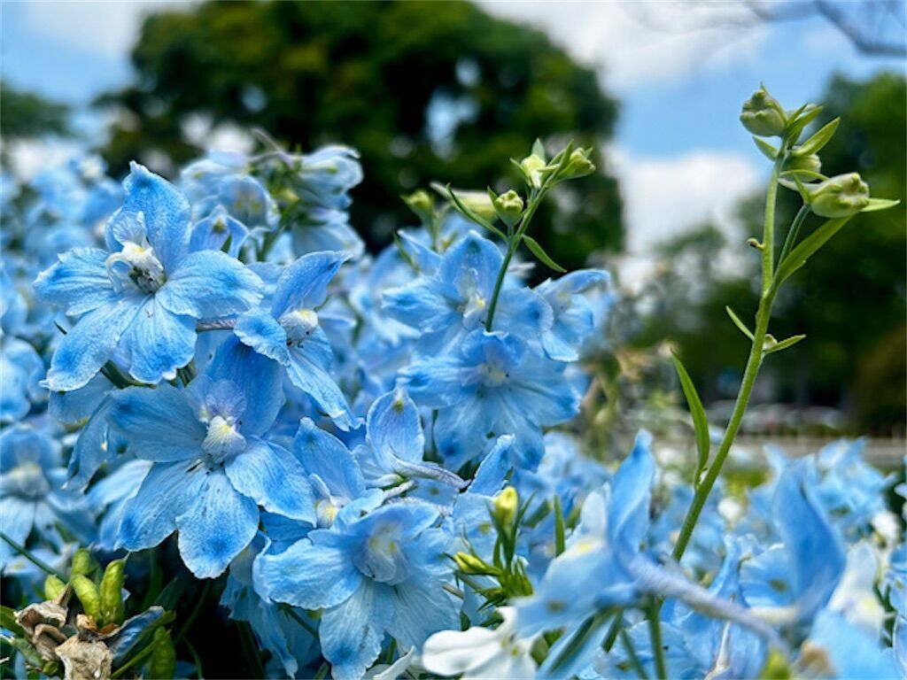 f:id:matundaba79:20260529195014j:image f:id:matundaba79:20260529195014j:image