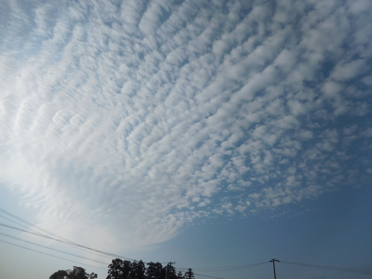 いわし雲 うろこ雲 とひつじ雲 Maturi1198の日記